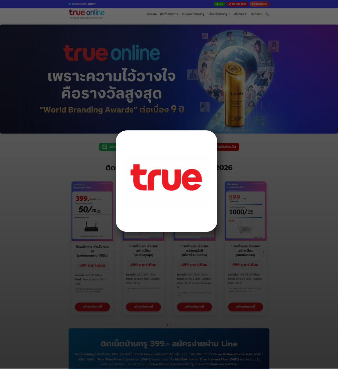 True ผลงาน SEO True